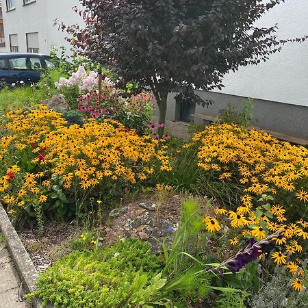 Fewo Weinland Zweibrücken Extérieur photo
